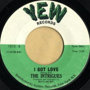THE INTRIGUES / The Language Of Love [7INCH]