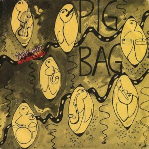 PIG BAG / Papa’s Got A Brand New Pigbag [7INCH]