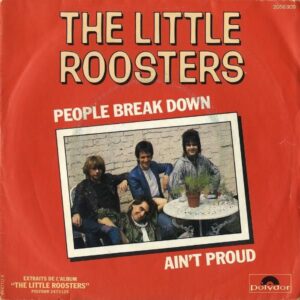 THE LITTLE ROOSTERS / People Break Down [7INCH]