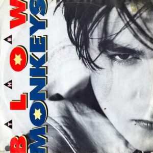 THE BLOW MONKEYS / It Doesn’t Have To Be This Way [7INCH]