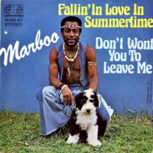 MARBOO / Fallin’ In Love In Summertime [7INCH]