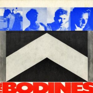 THE BODINES / Heard It All [7INCH]