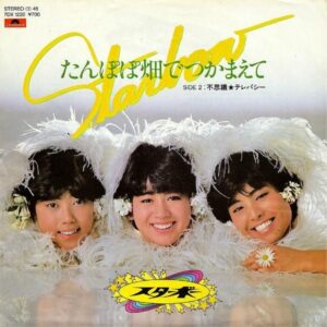 スターボー / たんぽぽ畑でつかまえて [7INCH]