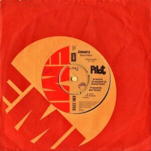 PILOT / January [7INCH]