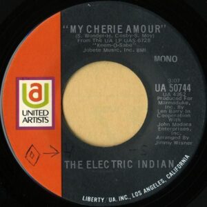 THE ELECTRIC INDIAN / My Cherie Amour [7INCH]