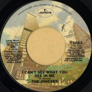 THE JONESES / I Can’t See What You See In Me [7INCH]