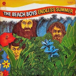 THE BEACH BOYS ザ・ビーチ・ボーイズ / Endless Summer ベスト20 終わりなき夏 [LP]