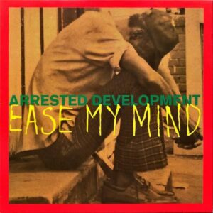 ARRESTED DEVELOPMENT / Ease My Mind [12INCH]