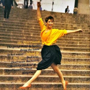 THE STYLE COUNCIL / Shout To The Top！ [12INCH]