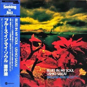 酒井潮 / Blues In My Soul ブルース・イン・マイ・ソウル [LP]