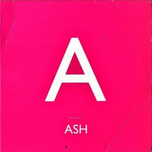 ASH / True Love 1980 [7INCH]