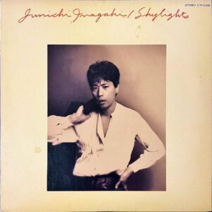 稲垣潤一 INAGAKI JUNICHI / Shylights [LP]
