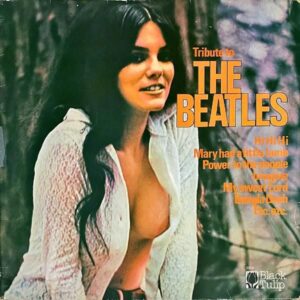 COMPILATION / Tribute To The Beatles [LP]