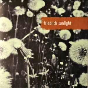 FRIEDRICH SUNLIGHT / Nicht Ans Meer [7INCH]