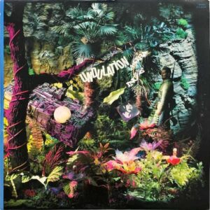 井上鑑 INOUE AKIRA / Undulation [LP]