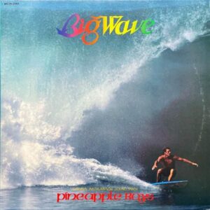 THE PINEAPPLE BOYS ザ・パイナップル・ボーイズ / Big Wave [LP]
