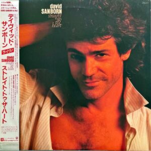 DAVID SANBORN デイヴィッド・サンボーン / Straight To The Heart [LP]