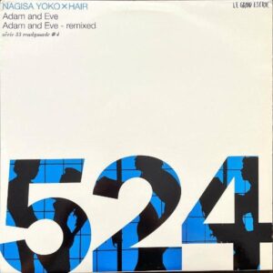 渚ようこ NAGISA YOKO, THE HAIR / Adam And Eve [12INCH]