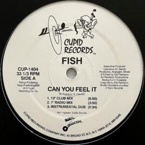FISH / Can You Feel It [12INCH]