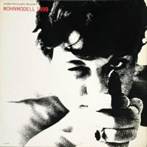 COMPILATION / Wohnmodell 1999 [LP]