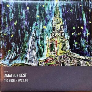 AMATEUR BEST / Too Much [7INCH]