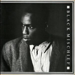 THE LOVE AMBASSADEUX / Black Mischief [12INCH]