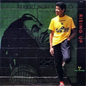 P.J. & COOL RUNNINGS / Rising Up [LP]