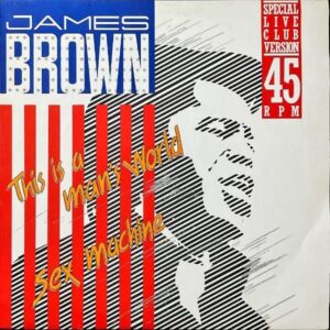 JAMES BROWN / This Is A Man’s World [12INCH]