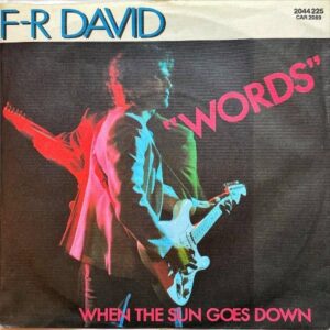 FR DAVID / Words [7INCH]