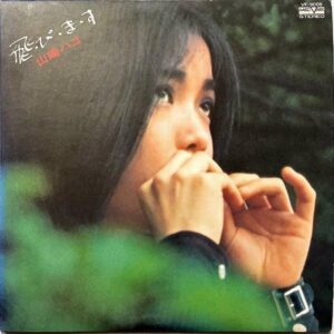 山崎ハコ YAMAZAKI HAKO / 飛・び・ま・す [LP]