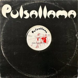 PULSALLAMA / The Devil Lives In My Husband’s Body [LP]
