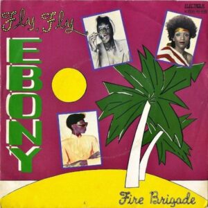 EBONY / Fly Fly [7INCH]