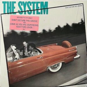 THE SYSTEM / Don’t Disturb The Groove [LP]