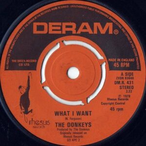 THE DONKEYS / What I Want [7INCH]