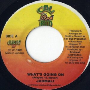 JAHMALI / What’s Going On [7INCH]
