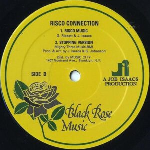 RISCO CONNECTION / Sitting In The Park [12INCH]
