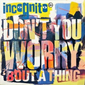 INCOGNITO / Don’t You Worry ‘Bout A Thing [12INCH]