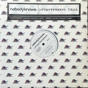 NOBODYKNOWS+ / シアワセナラテヲタタコウ [12INCH]