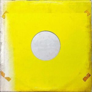 LED ZEPPELIN / Live On Blueberry Hill [LP]