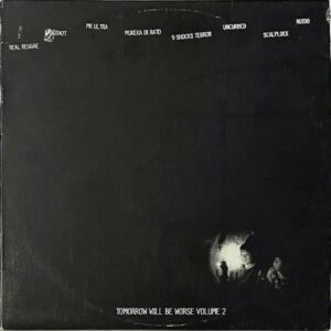 COMPILATION / Tomorrow Will Be Worse Volume 2 [LP]