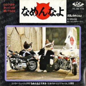 又吉＆なめんなよ MATAKICHI & NAMENNAYO / なめんなよ [7INCH]