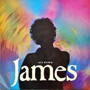 JAMES / Sit Down [12INCH]