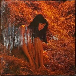 中島みゆき NAKAJIMA MIYUKI / 生きていてもいいですか [LP]