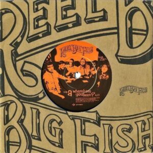 REEL BIG FISH / Where Have You Been? [7INCH]
