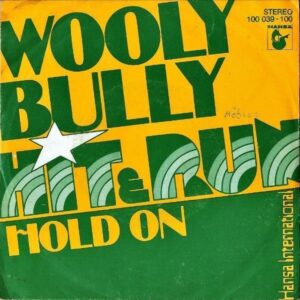 HIT & RUN / Wooly Bully [7INCH]