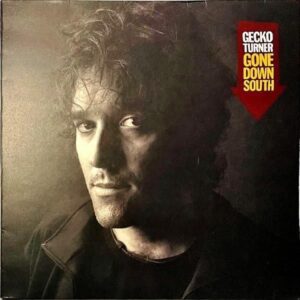 GECKO TURNER / Gone Down South [LP]