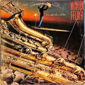 WILTON FELDER ウィルトン・フェルダー / We All Have A Star 星の伝説 [LP]