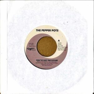 THE PEPPER POTS / You’ve Got The Future [7INCH]
