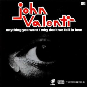JOHN VALENTI ジョン・ヴァレンティ / Anything You Want エニシング・ユー・ウォント [7INCH]
