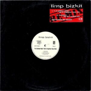 LIMP BIZKIT / N 2 Gether Now [12INCH]